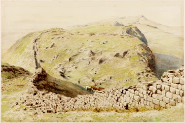 Steel-Rigg (rungon väri)